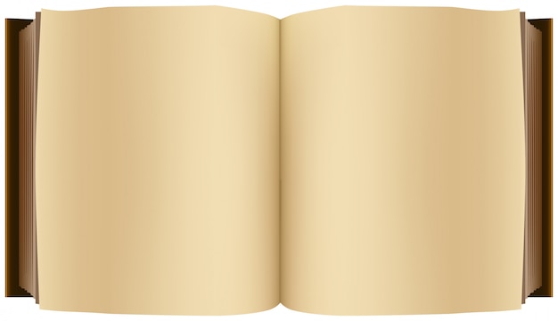 Vector brown open book