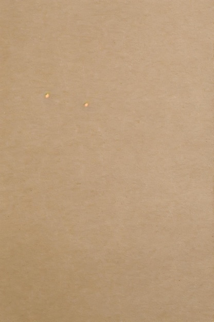 Vector brown piece of paper with a small speck in the middle