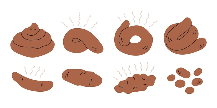 Vector brown poop vector set on white background cartoon image bunch shit icon pile of dog cat human poo
