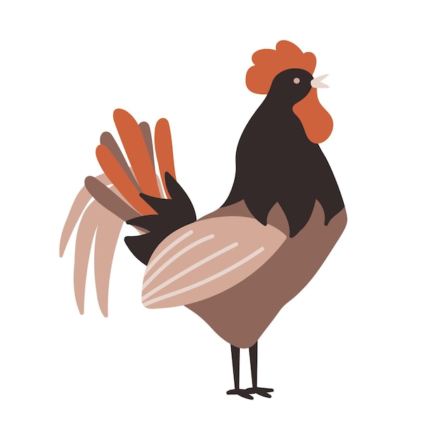 The brown rooster. Chicken farm. Cartoon. Cozy vector illustration.