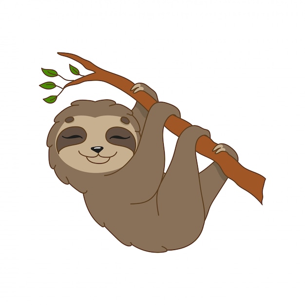 Vector brown sloth.