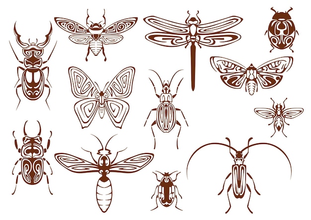 Brown tribal butterfly bee moth dragonfly wasp ladybug scarab and stag beetles