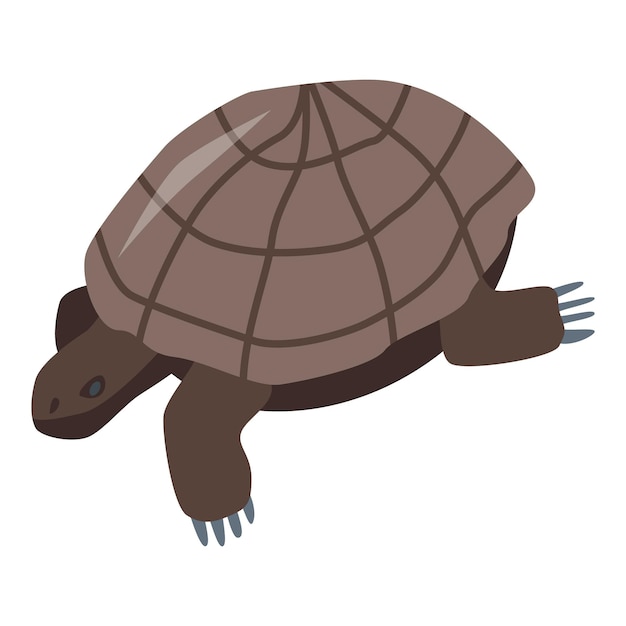 Brown turtle icon Isometric of brown turtle vector icon for web design isolated on white background