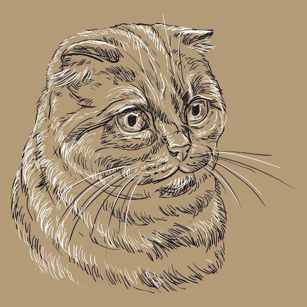 Brown vector cat portrait 9