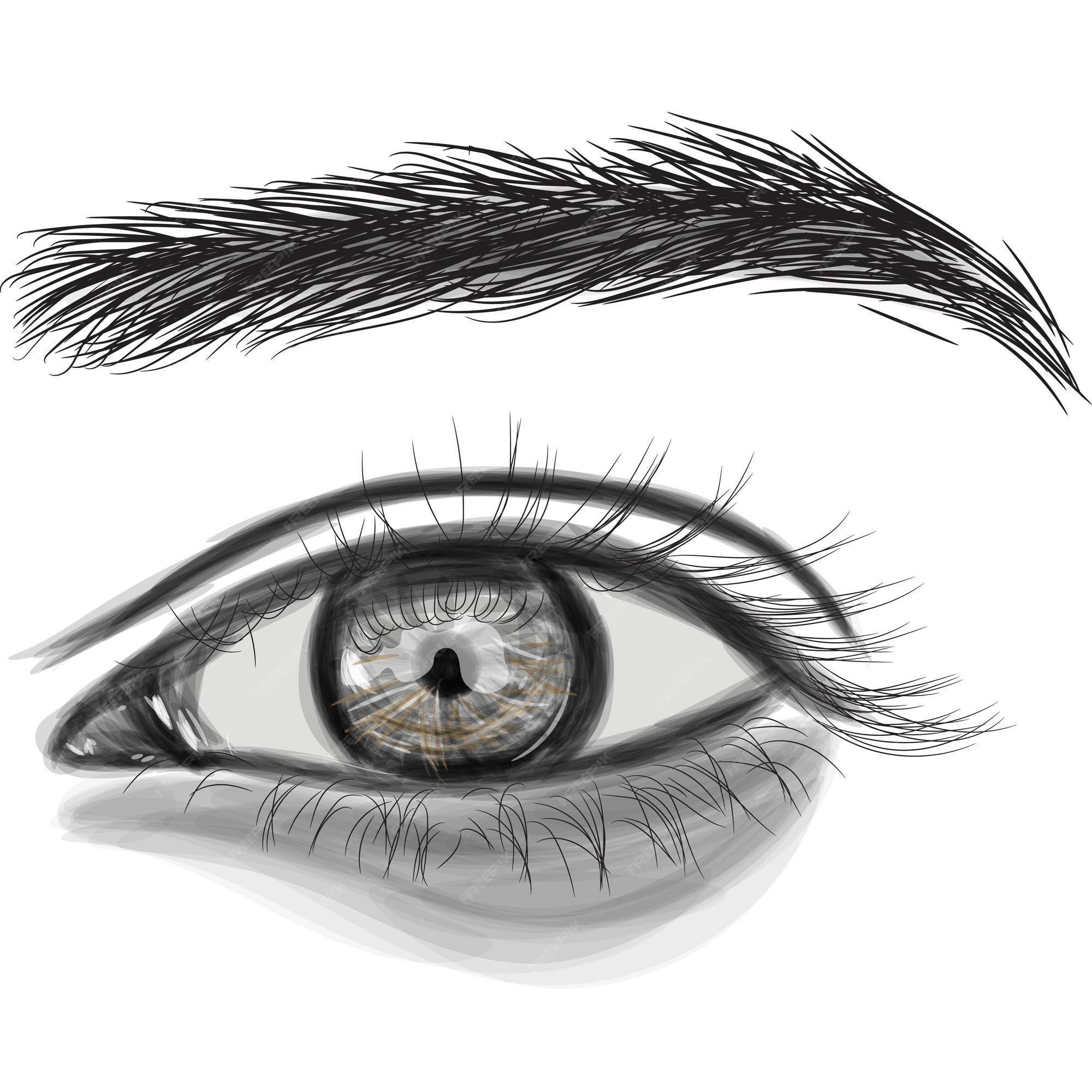 Premium Vector | Brown vector eye