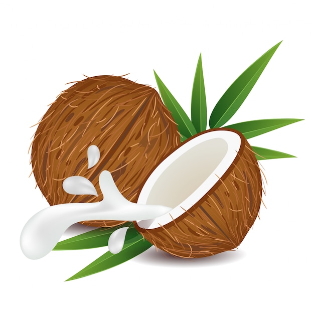 Bruin kokosfruit