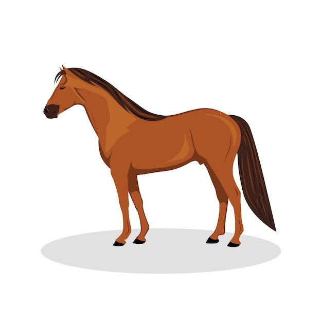 Vector bruin paard cartoon met witte achtergrond illustratie vector