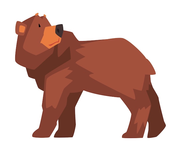 Vector bruine beer wild bos dieren karakter cartoon vector illustratie
