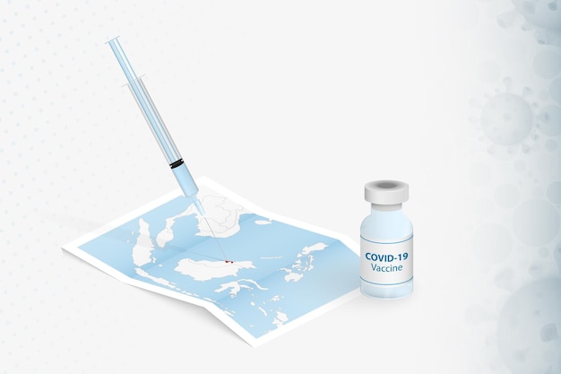 Brunei-vaccinatie, injectie met covid-19-vaccin op de kaart van brunei.
