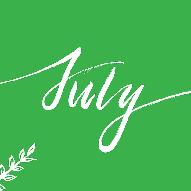 Vector brush lettering july word july concept text with hand drawn branch