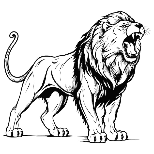 Vector brush painting ink draw isolated lion illustration