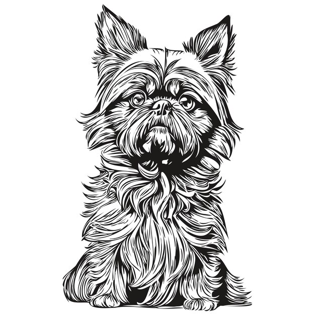 ブリュッセル・グリフォン (brussels griffon) の犬のロゴ黒と白のヴィンテージ可愛い犬の頭が刻され現実的な品種のペット