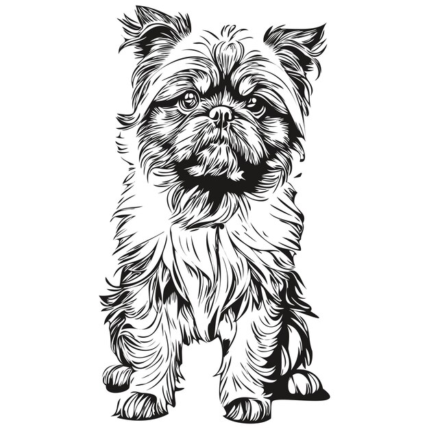 Vector brussels griffon hond lijn illustratie zwarte en witte inkt schets gezicht portret in vector realistisch ras huisdier
