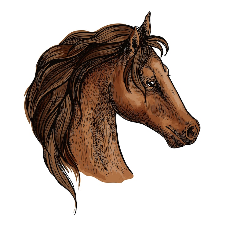 Vector brwon horse head profile portrait