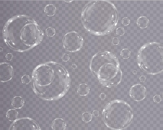 Bubble PNG. Set of realistic soap bubbles. Bubbles are located on a transparent background. Vector f