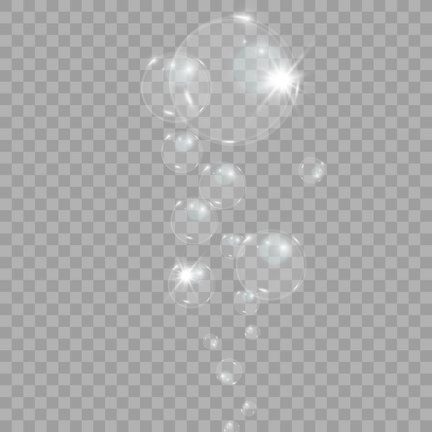 Bubble vector soap bubble on a transparent background Vector design