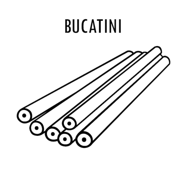 Vector bucatini pasta doodle food illustration hand drawn line print of long macaroni italian bucate pasta