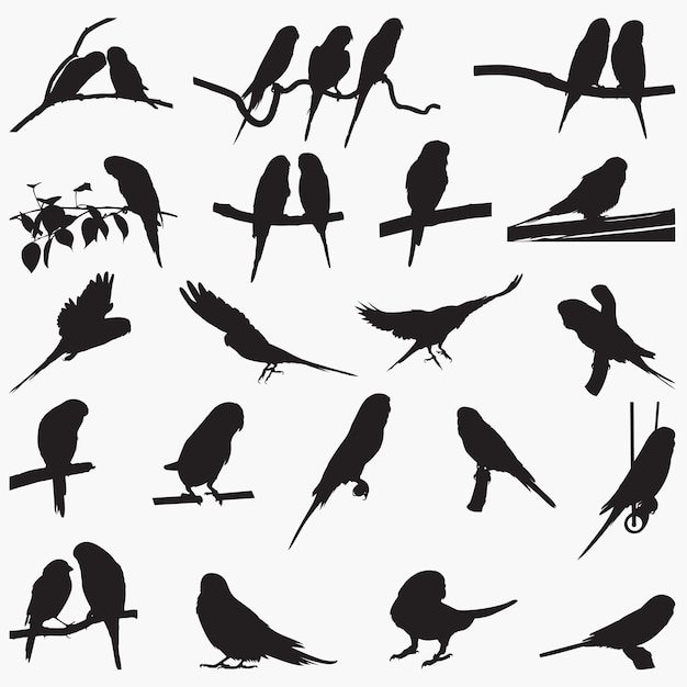 Budgerigar Bird Silhouettes