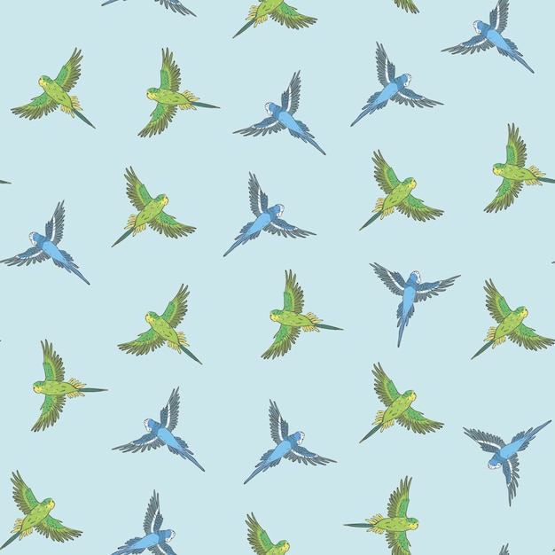 Budgerigar bird vector seamless pattern