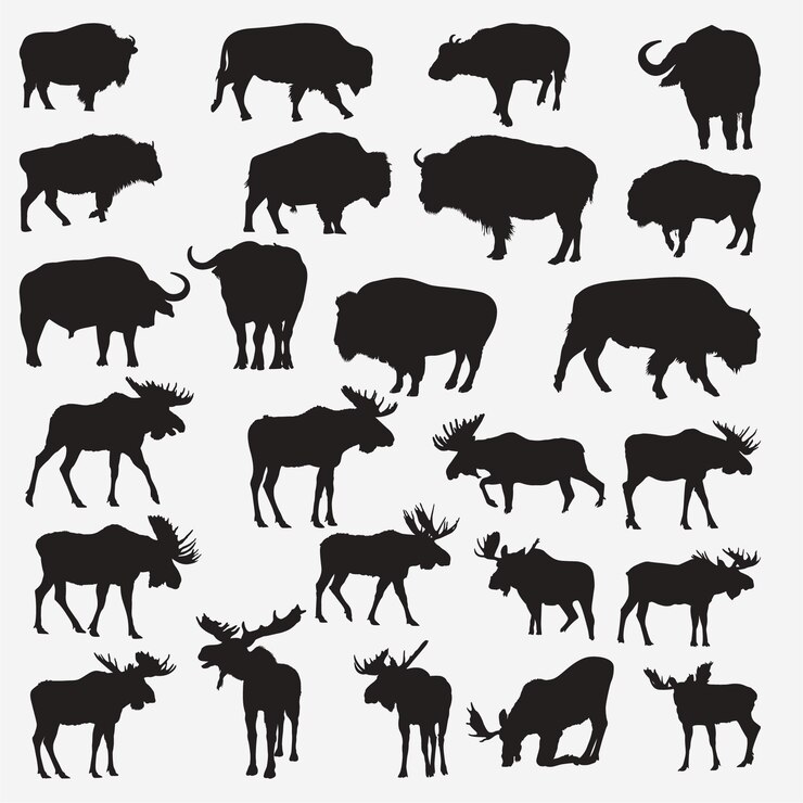 Vector buffalo moose silhouettes 