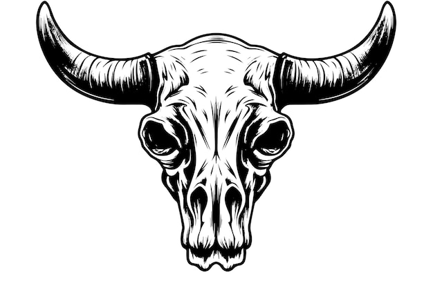 Vector buffalo schedel handgetekende vector illustratie in gravure stijl inkt schets