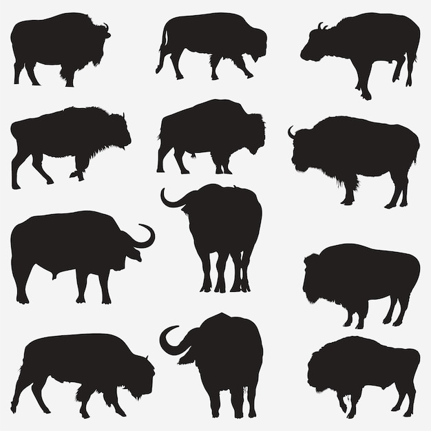 buffalo silhouetten