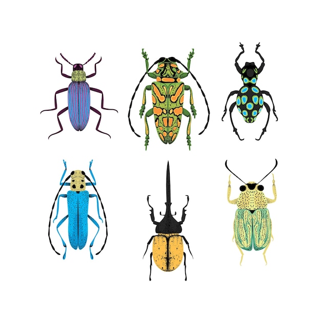 Vector bug soorten en exotische kevers iconen collectie diverse insecten instellen met als goliath kever froglegged lieveheersbeestje hercules tortoise colorado aardappel giraffe weevil en andere vreemde insecten in flat