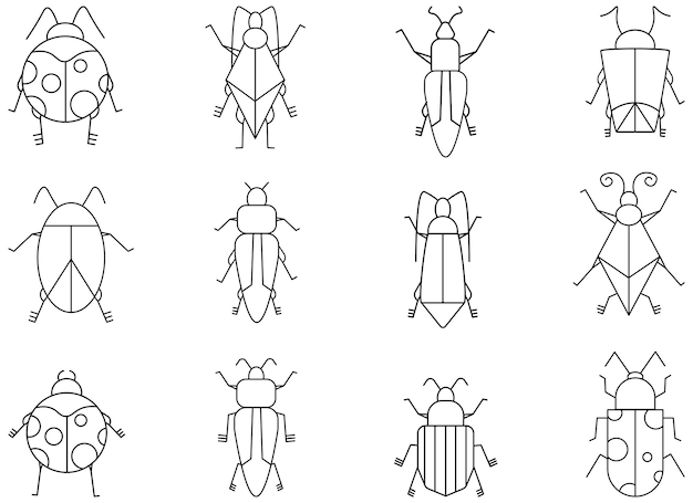 Illustrazione di disegno vettoriale bug isolato su sfondo bianco