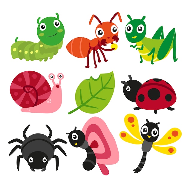 Bugs collection, insect vector design