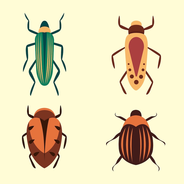 Vector bugs  icons for web design isolated on white background. bug and insect set in cartoon style.