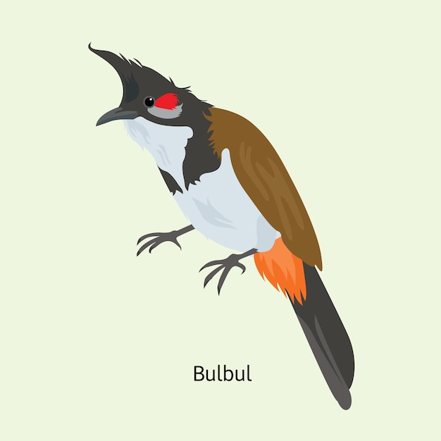 Bulbul family found in middle east tropical asia to indonesia and north as far as japan in vector