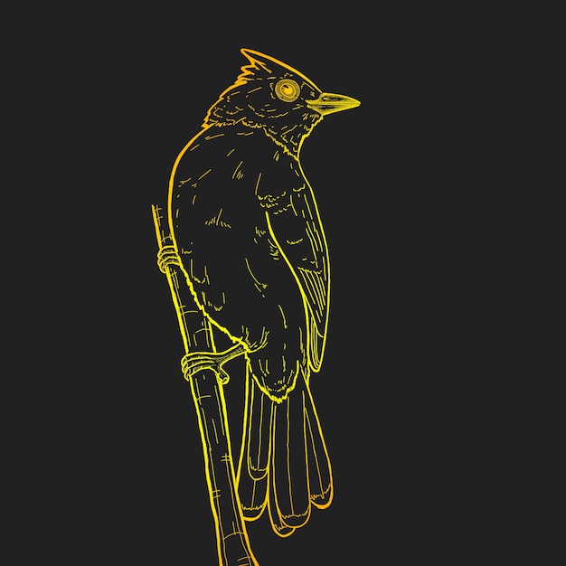 Vector bulbul line art concept