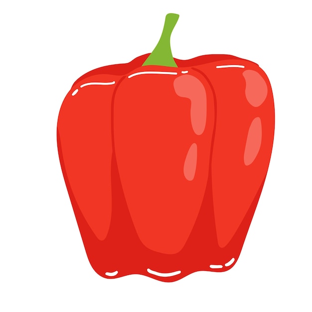 Bulgaarse peper geïsoleerd op een witte achtergrond vector illustratie van paprika gezond