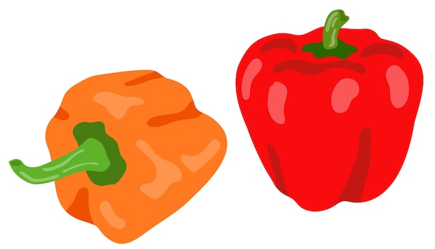 Bulgarian peppers. red and orange. hand drawn vector illustration.