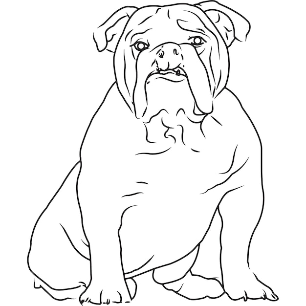 Bull dog dog hand sketched vector drawing