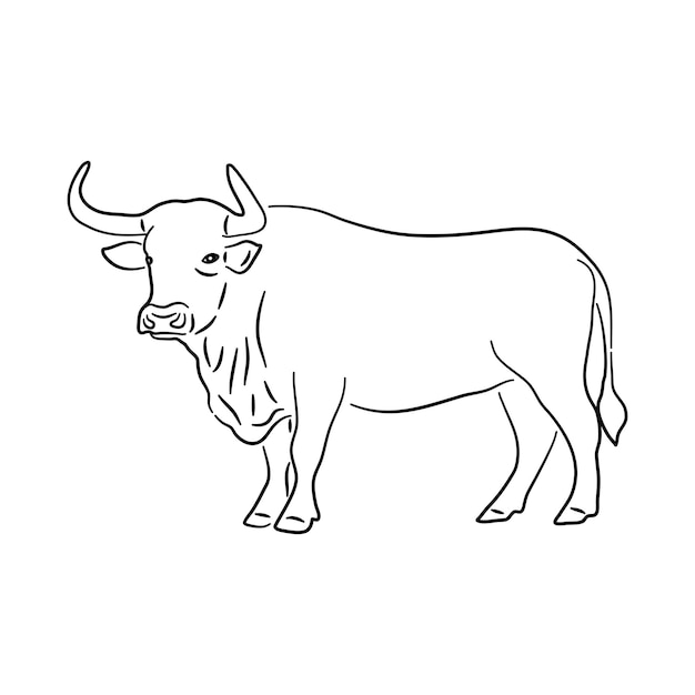 Vector bull in doodle style icons sketch hand made vector