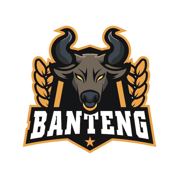 Logo bull e sports