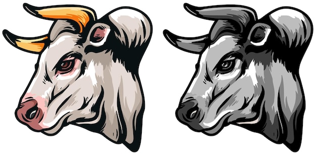 Bull Face Illustration Wild Face Vector