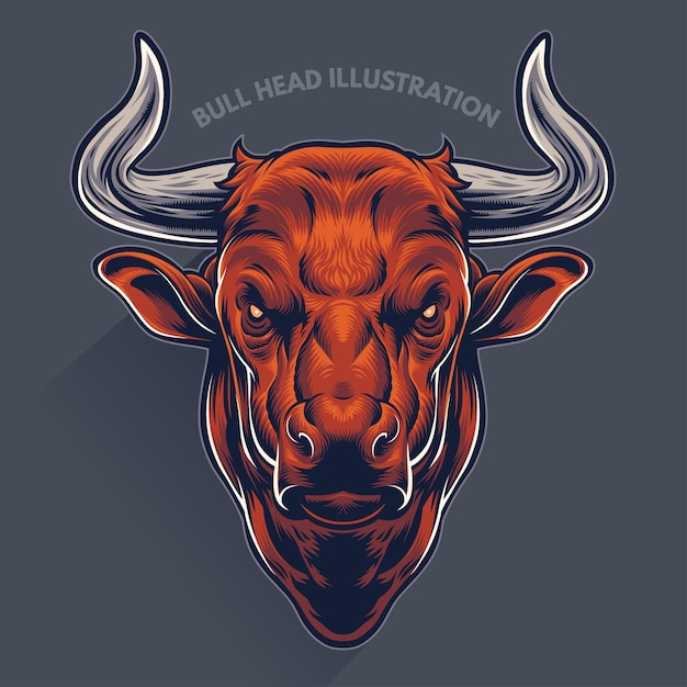 Bull Head Illustration