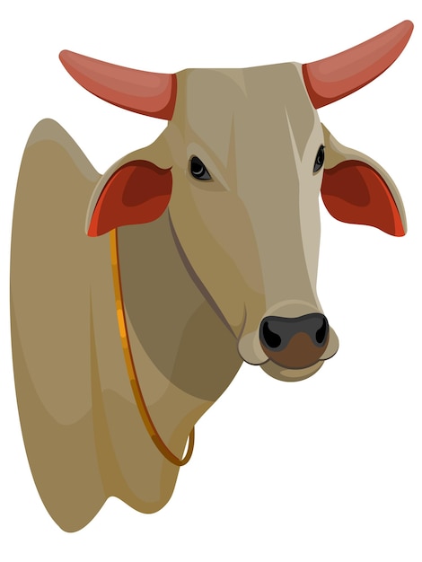 Vector bull head logo, indian ox, zebu bull. brahman cattle.