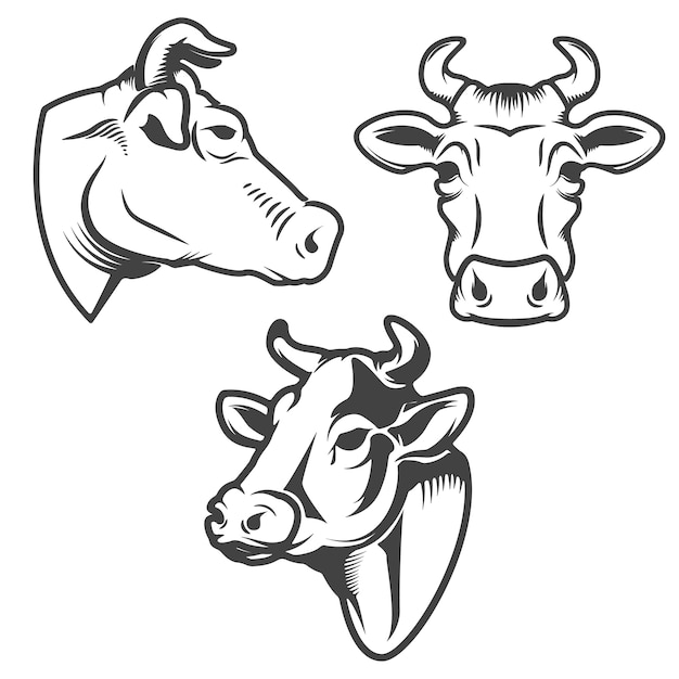 Bull hoofd embleem op witte achtergrond. element voor logo, label, teken, merkmarkering.