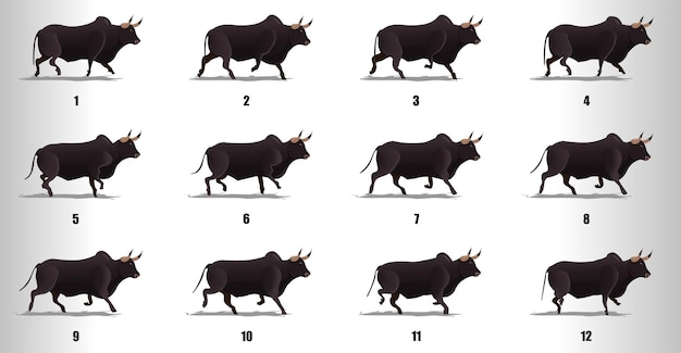 Bull run cycle animation sequence