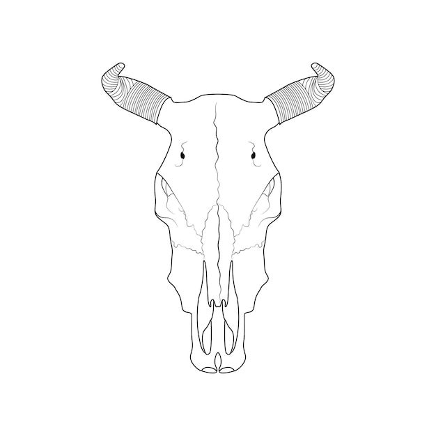 Bull skull vector