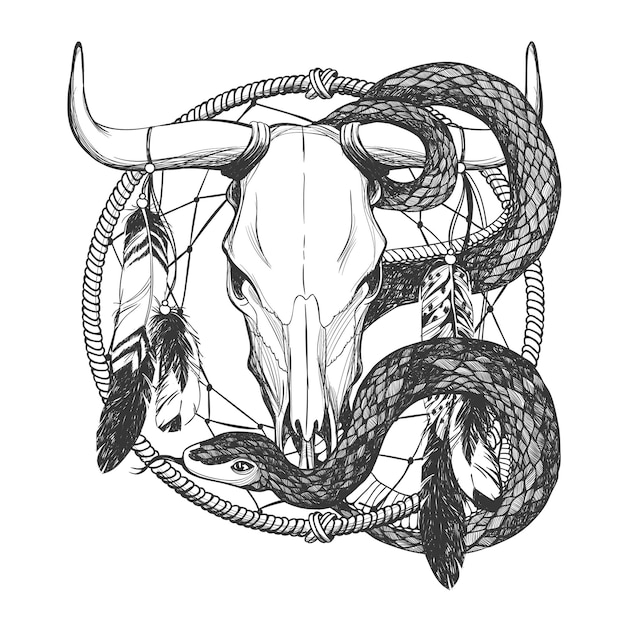 Bull skull with feathers snake and dreamcatcher