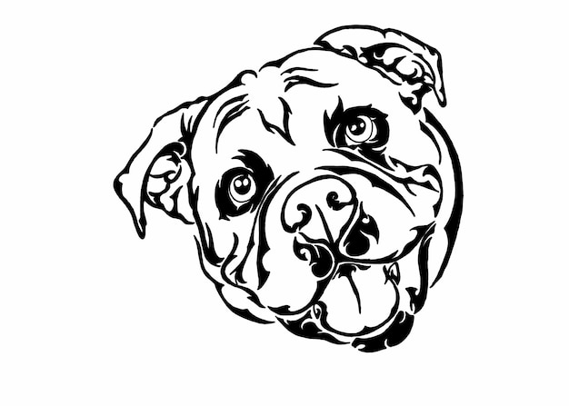 Vettore disegno del tatuaggio della testa del bulldog