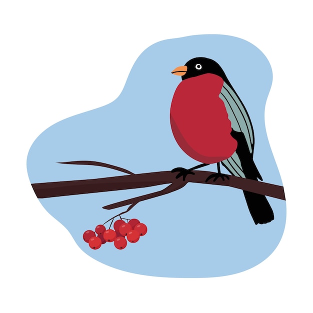 Vector bullfinch bird sitting on a tree branch with red rowan berries