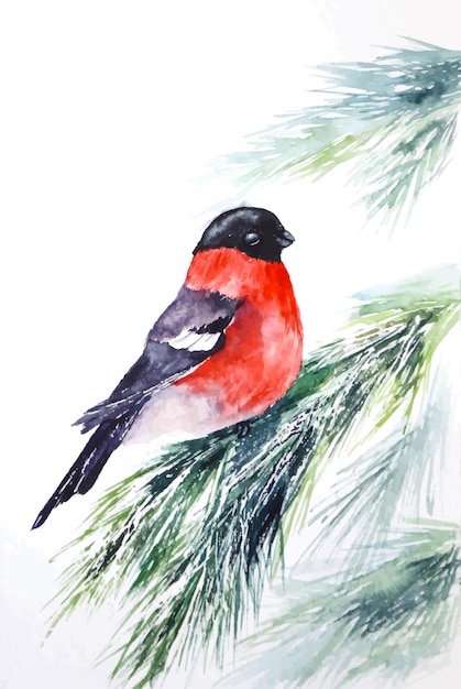 Bullfinch bird on a tree brunch watercolor illustration winter Christmas New Year card