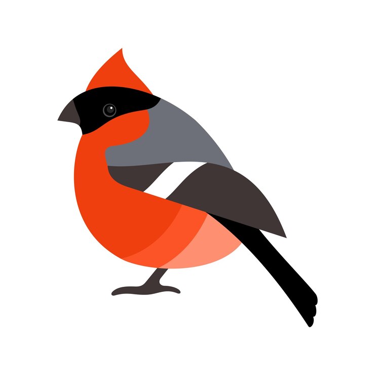 Vector bullfinch bird with red breast flat style vector illustration