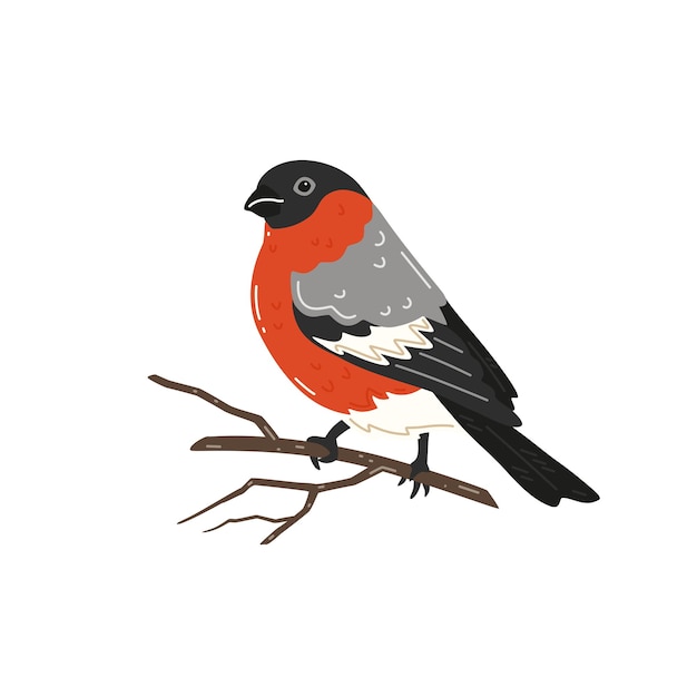 Bullfinch sitting on a tree branch. Vector illustration