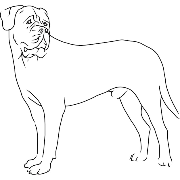 Bullmastiff Dog Hand Sketched Vector Drawing